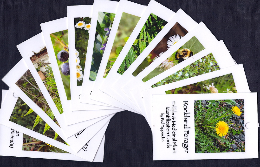 wild plant field id cards