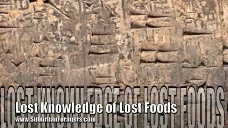 Lost Knowledge of Lost Foods