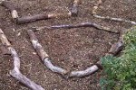 Hello Edible Forest Gardens