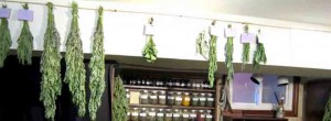 Drying herbs