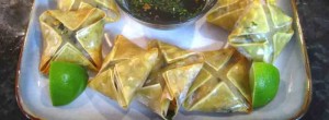 Wild Wontons