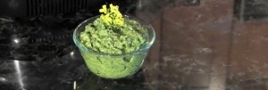 Pepperweed Pesto