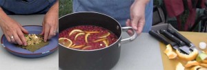 Stuffed grape leaves and wineberry sangria