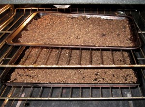 Oven drying dandelion roots