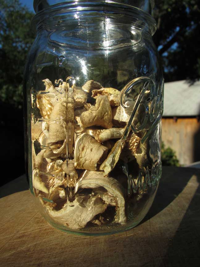 Dried mushrooms in a ball jar