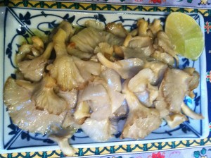 Delicious Oyster Mushrooms!