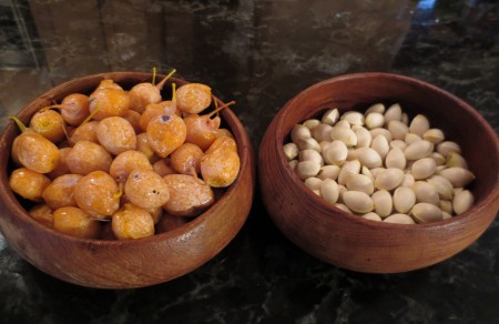 Ginkgo berries and nuts