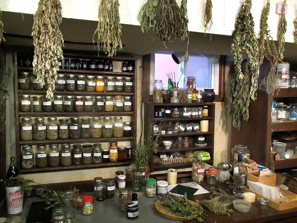 Drying Storing Herbs1 Jpg