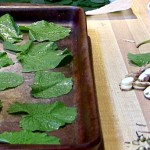 garlic mustard